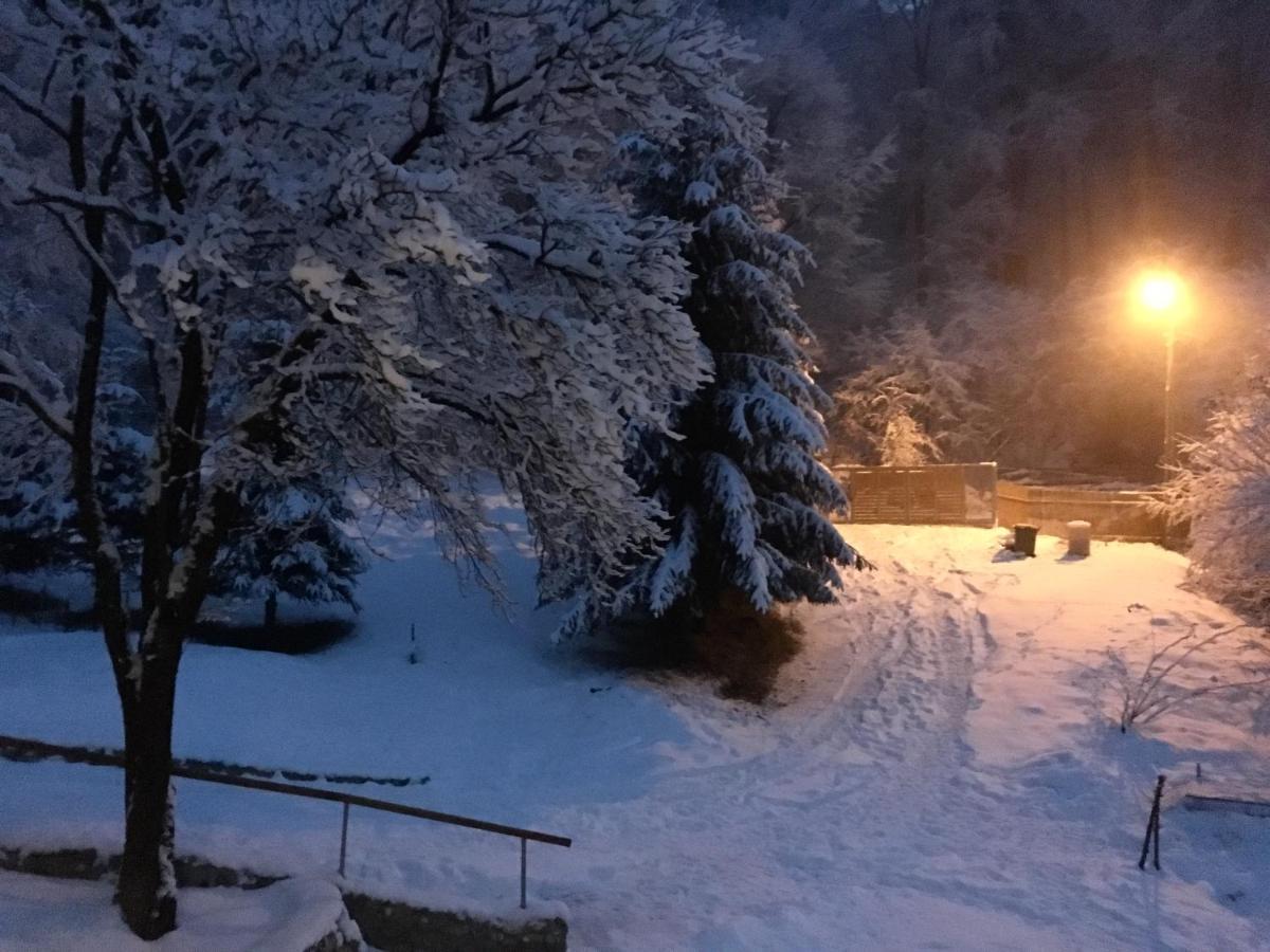 Soho Lodge Rasnov Eksteriør bilde