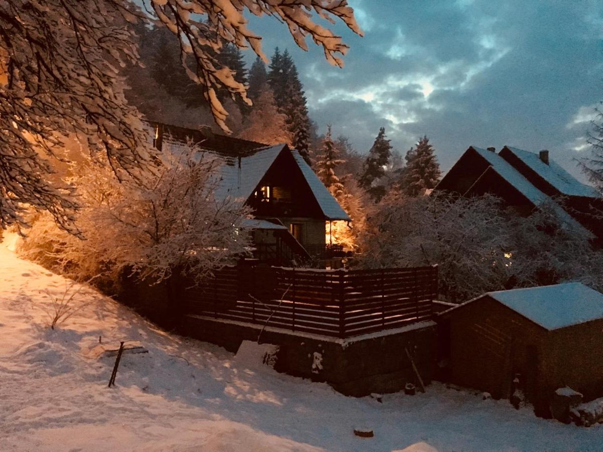 Soho Lodge Rasnov Eksteriør bilde