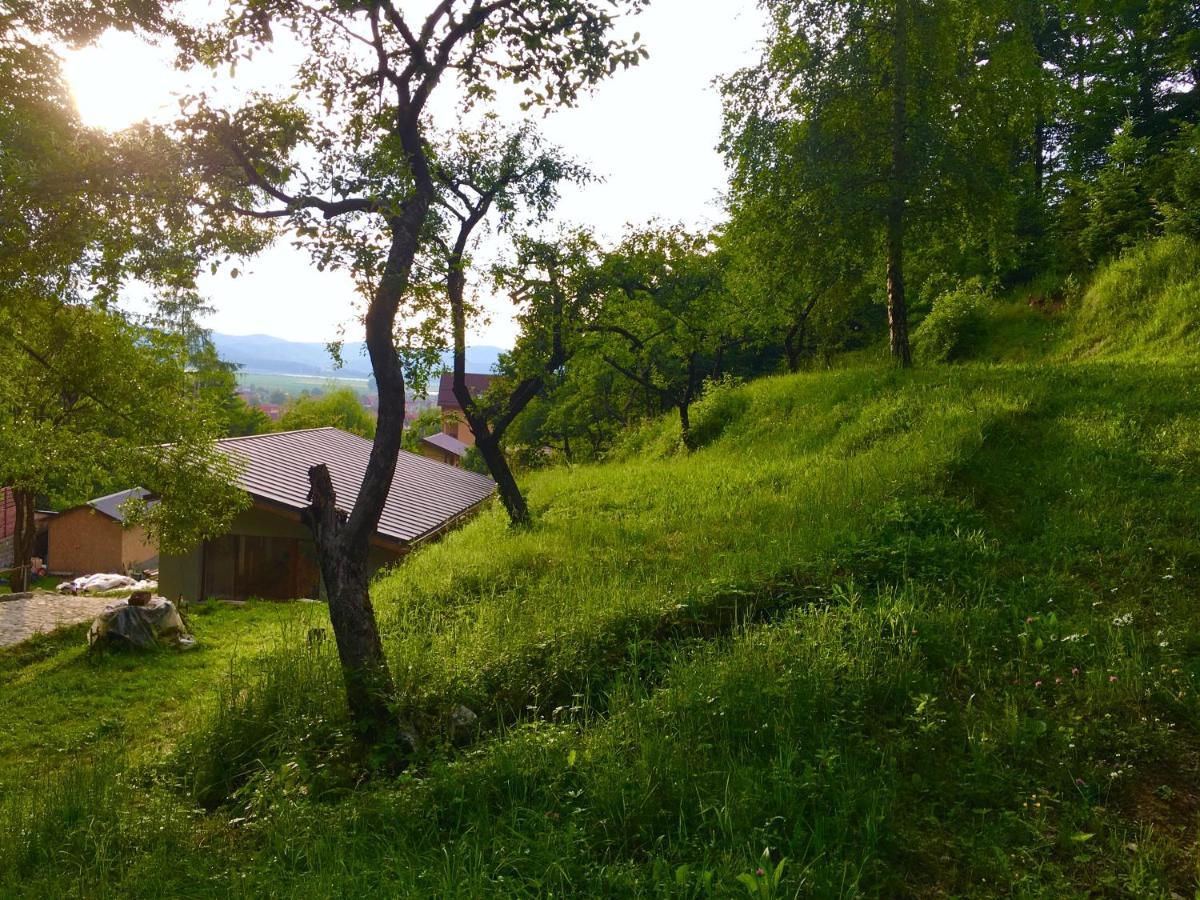 Soho Lodge Rasnov Eksteriør bilde