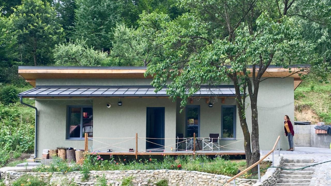 Soho Lodge Rasnov Eksteriør bilde