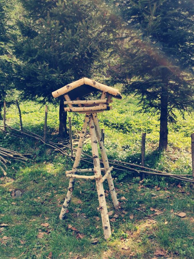 Soho Lodge Rasnov Eksteriør bilde