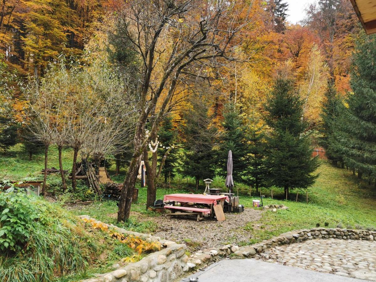 Soho Lodge Rasnov Eksteriør bilde