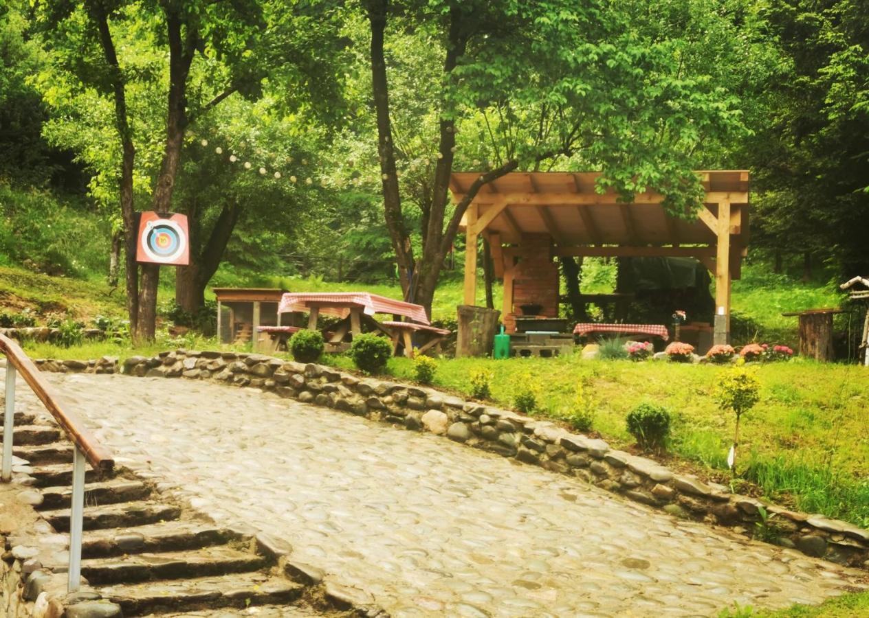Soho Lodge Rasnov Eksteriør bilde