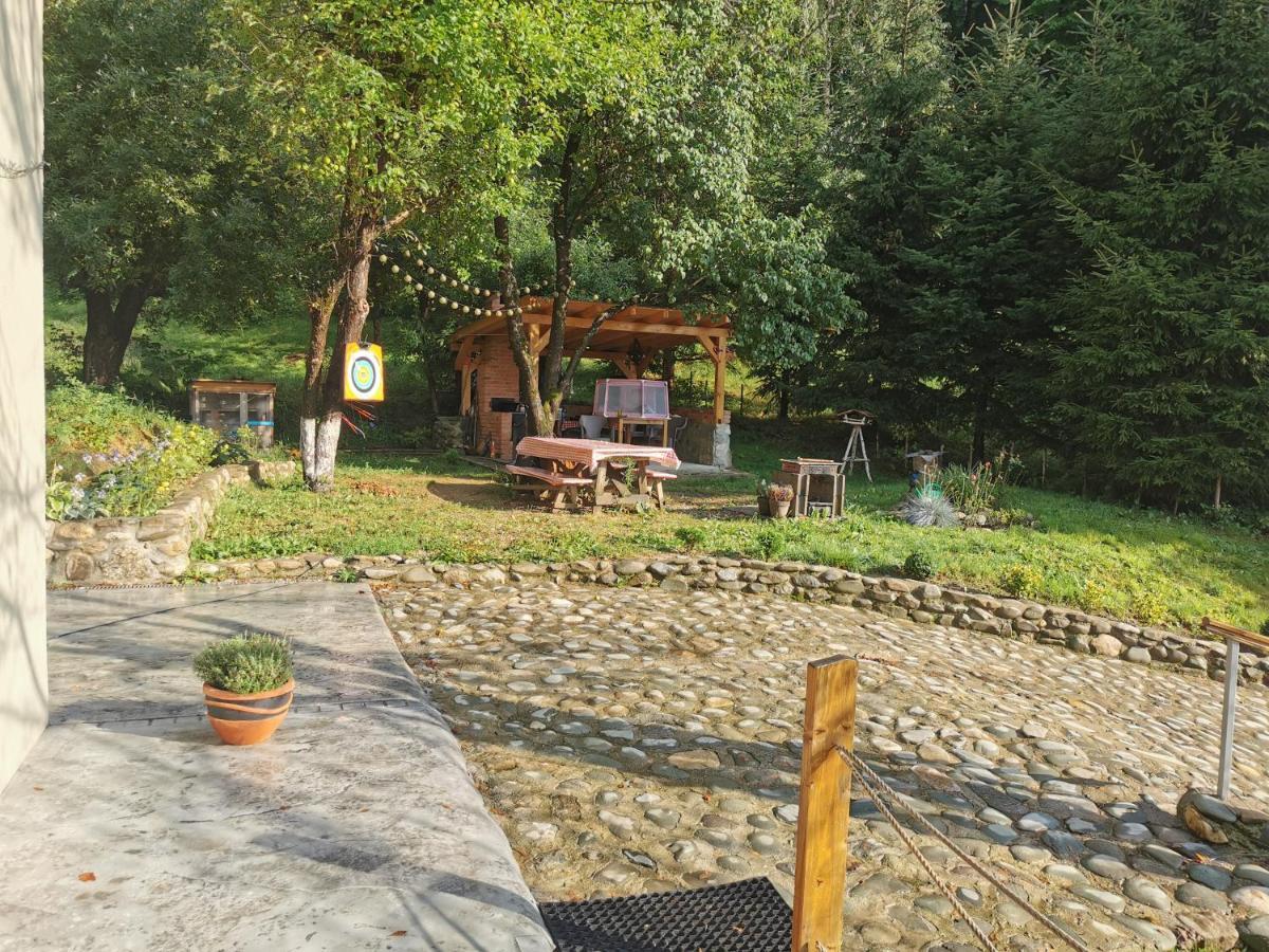 Soho Lodge Rasnov Eksteriør bilde